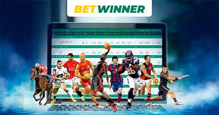 The Ultimate Guide to Betwinner Vietnam 1 The Ultimate Guide to Betwinner Vietnam 1