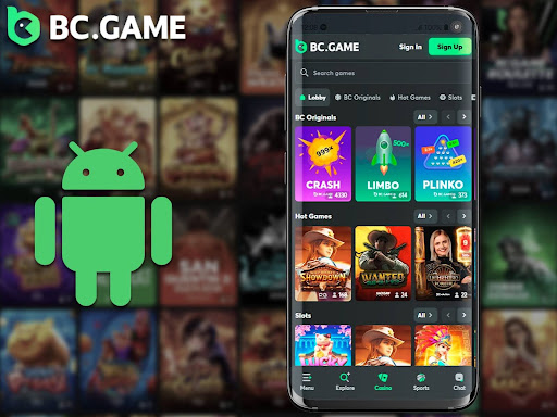 Exploring the Exciting Features of Hash BC.Game 3