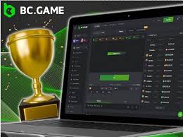 Understanding the Privacy Policy of BC.Game India 1687044425